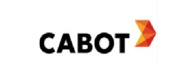 Customer logo